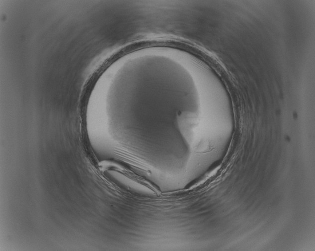 X0000067841319200605111632