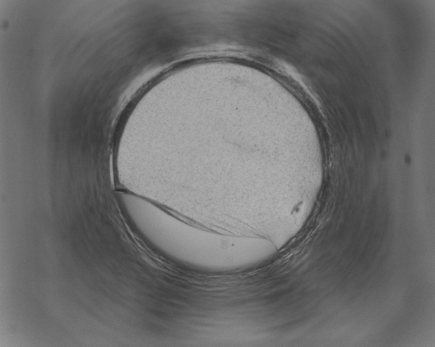 X0000067841320200605111632