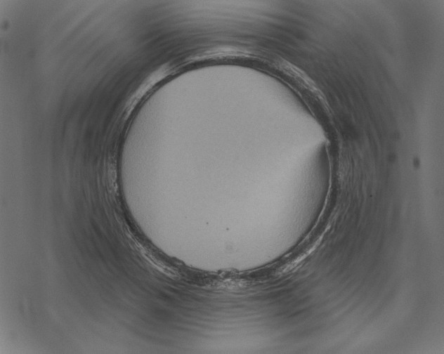 X0000067841321200605111632