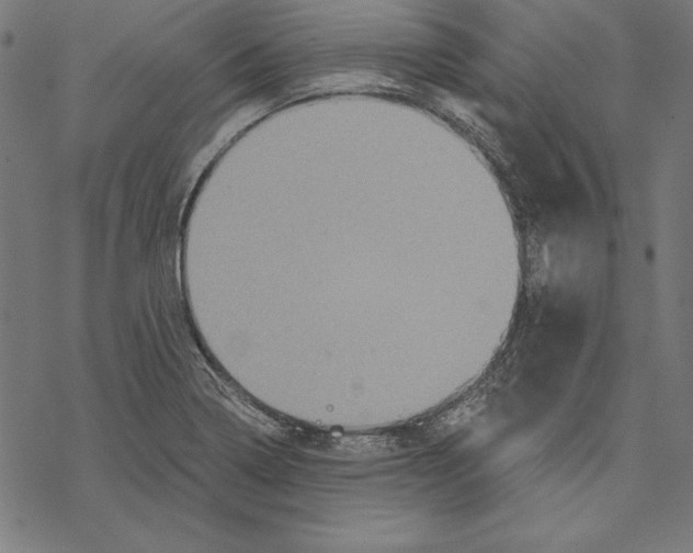 X0000067841322200605111632