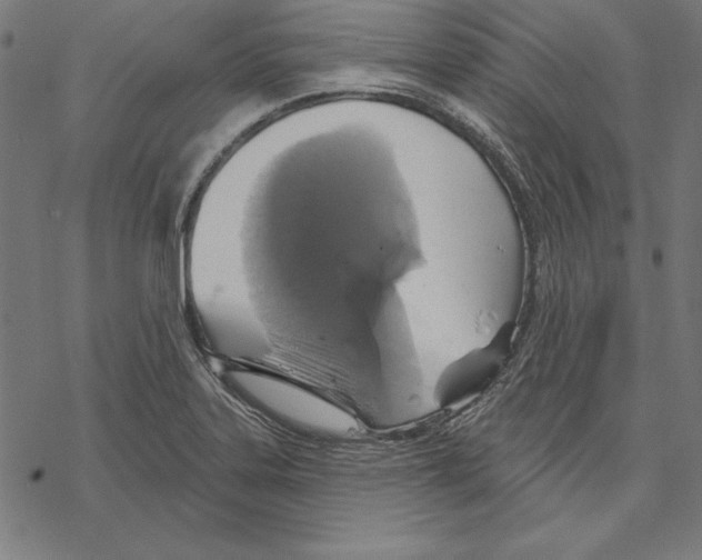 X0000067841323200605111632