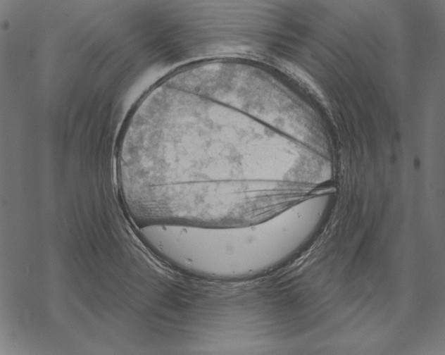 X0000067841324200605111632