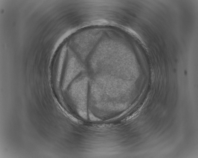 X0000067841326200605111633