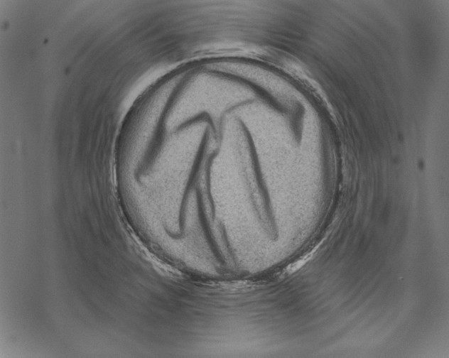 X0000067841328200605111633