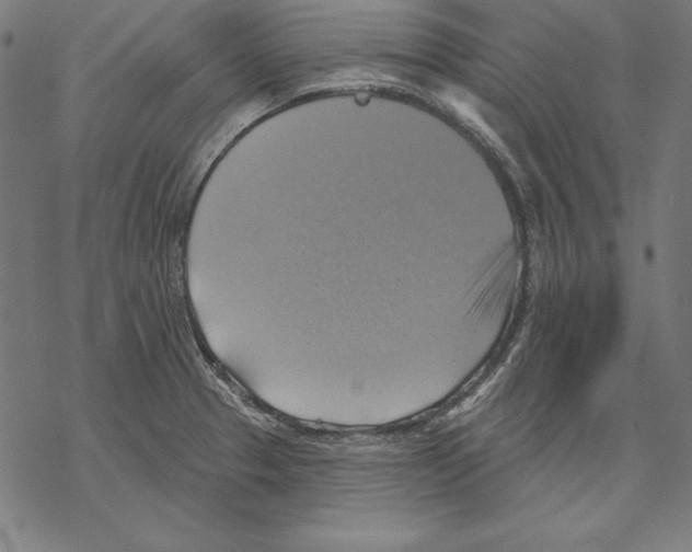 X0000067841329200605111633