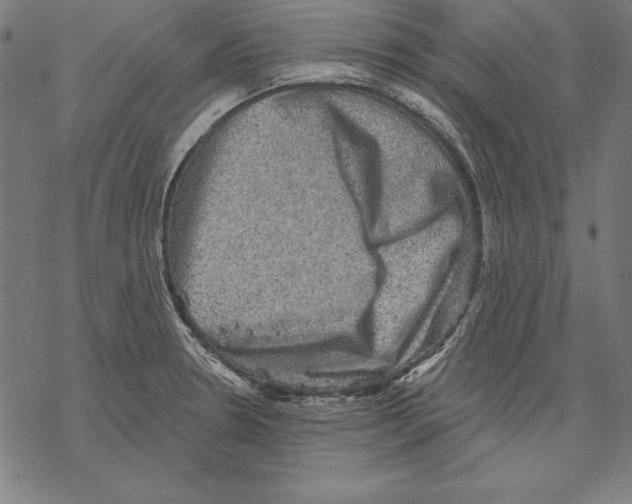 X0000067841330200605111633