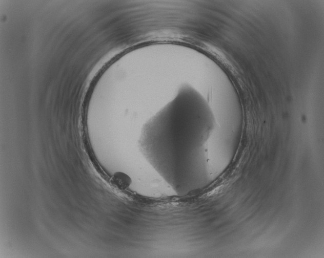 X0000067841331200605111633