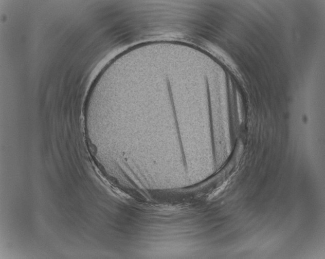 X0000067841332200605111633