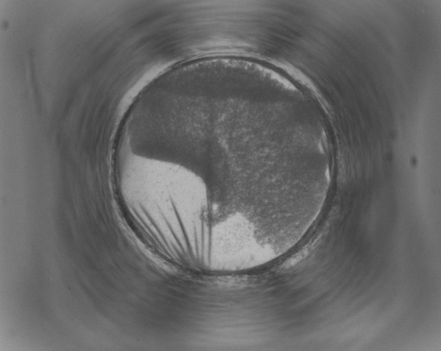 X0000067841333200605111633