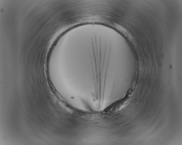 X0000067841334200605111633