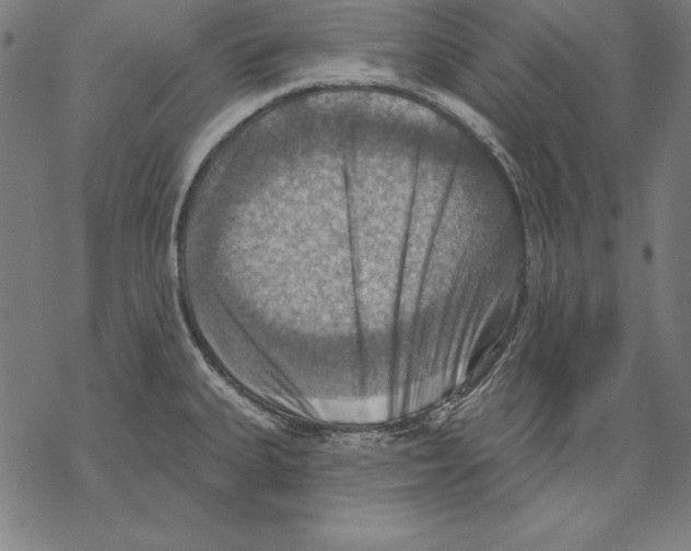 X0000067841335200605111633