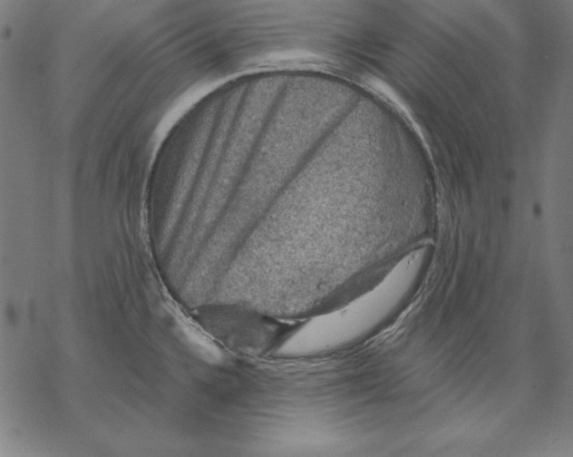 X0000067841336200605111633