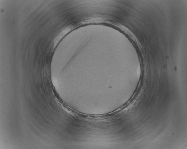 X0000067841337200605111633