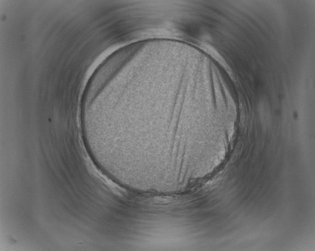 X0000067841339200605111633