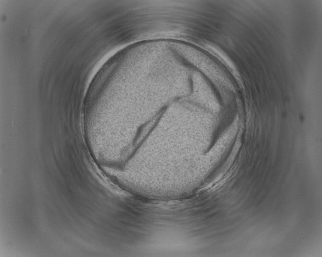 X0000067841340200605111633