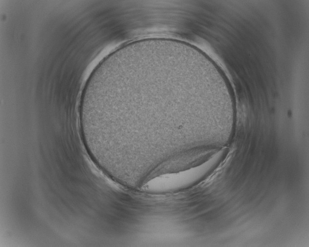 X0000067841341200605111633