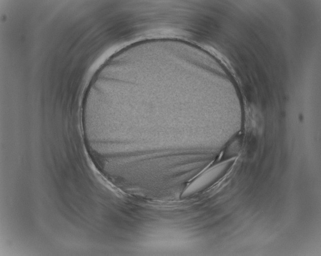 X0000067841342200605111633