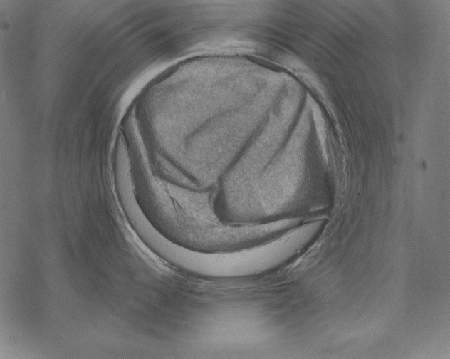 X0000067841344200605111633