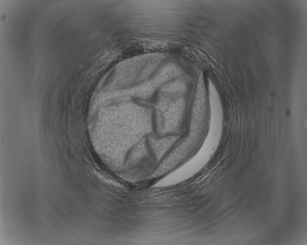 X0000067841345200605111632