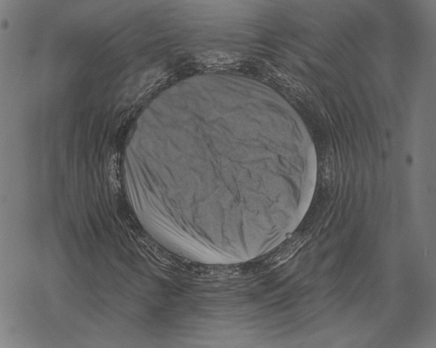 X0000067841346200605111632