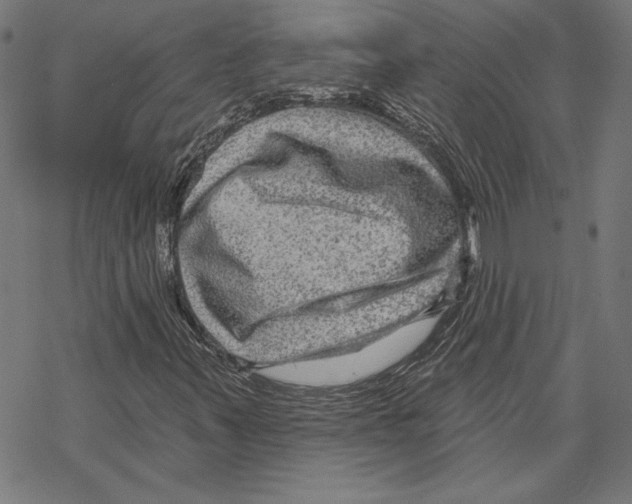 X0000067841347200605111632