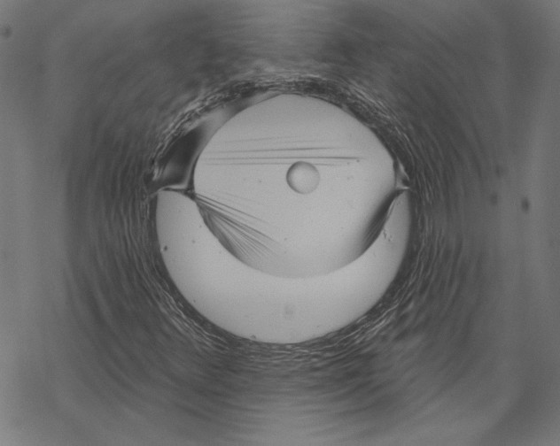 X0000067841348200605111632