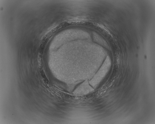 X0000067841350200605111632