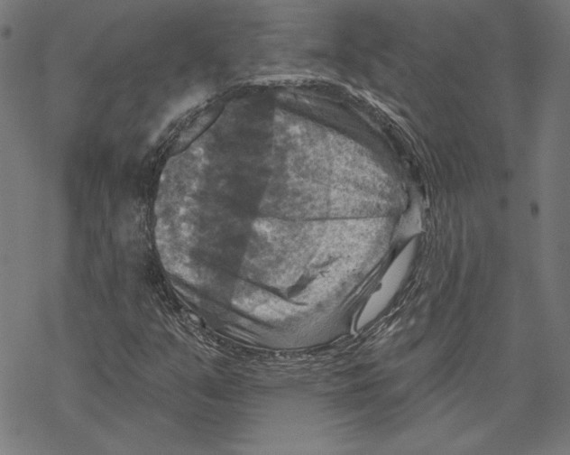 X0000067841351200605111632