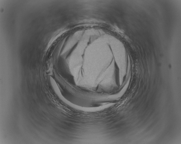 X0000067841352200605111632