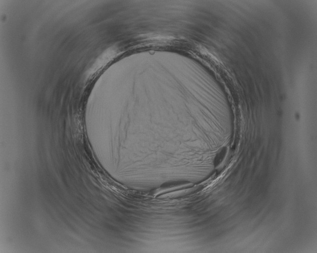 X0000067841354200605111632