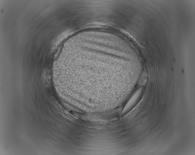 X0000067841355200605111632