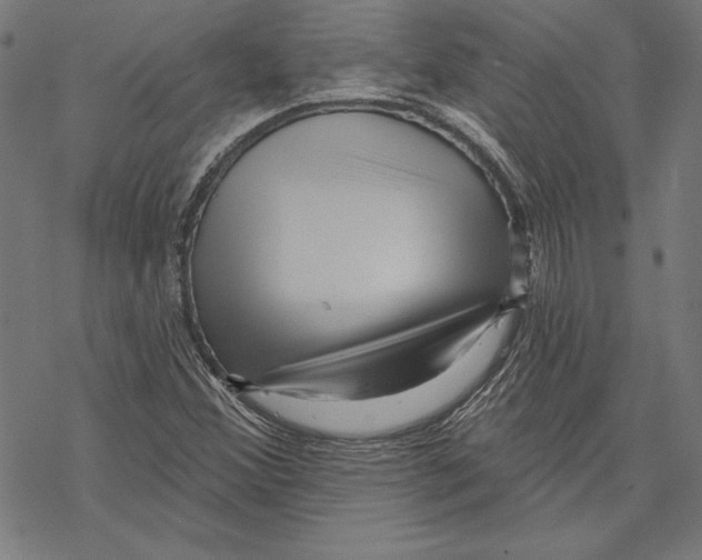 X0000067841356200605111632