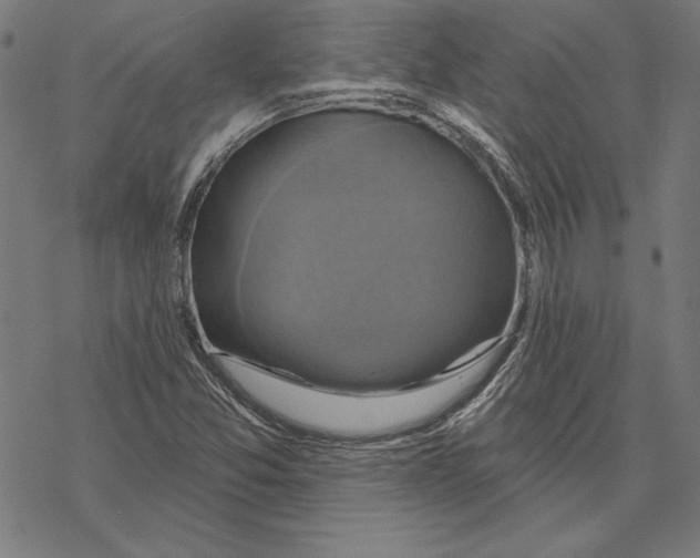 X0000067841357200605111632