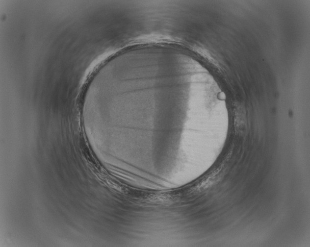 X0000067841358200605111632