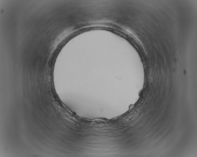 X0000067841360200605111632