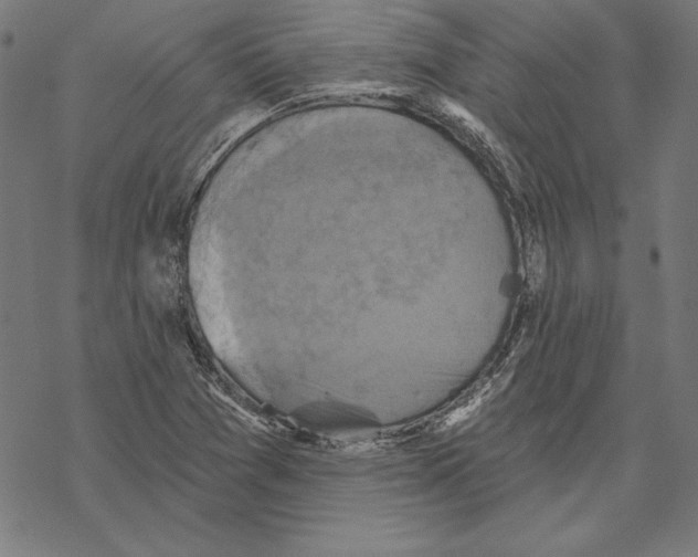 X0000067841361200605111632