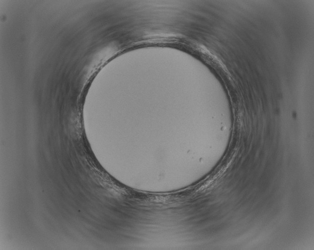 X0000067841362200605111632