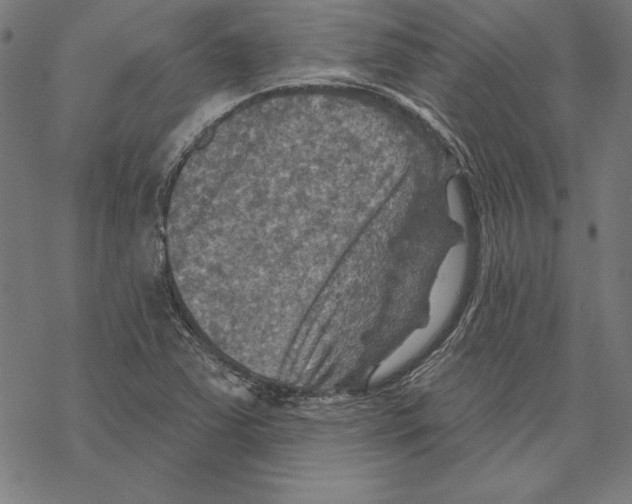 X0000067841363200605111632