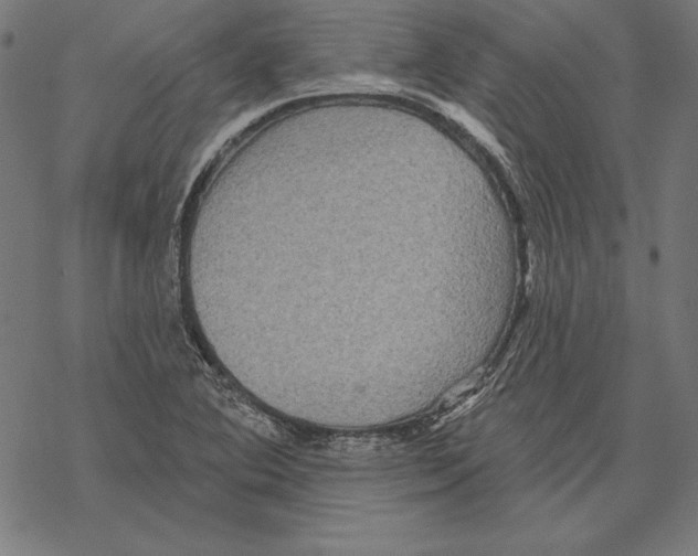 X0000067841364200605111632