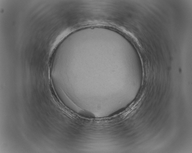 X0000067841365200605111632