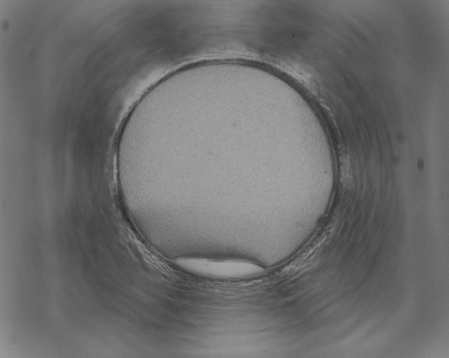 X0000067841366200605111632