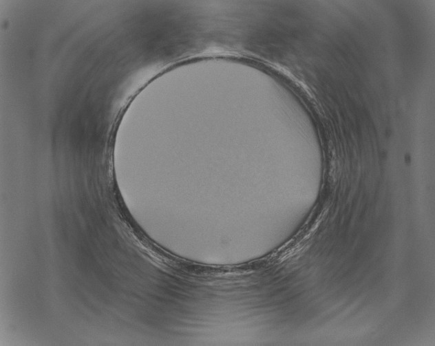 X0000067841367200605111632