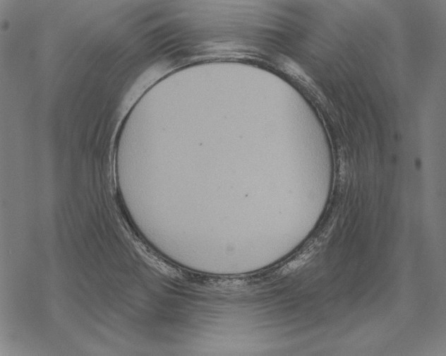 X0000067841370200605111632