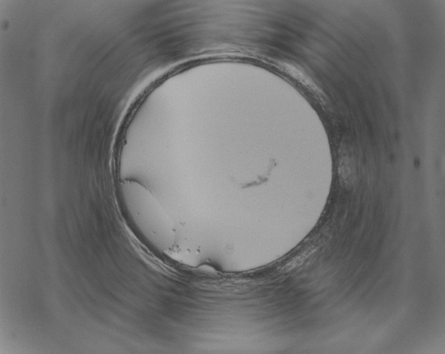 X0000067841372200605111631