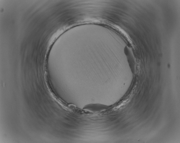 X0000067841373200605111631