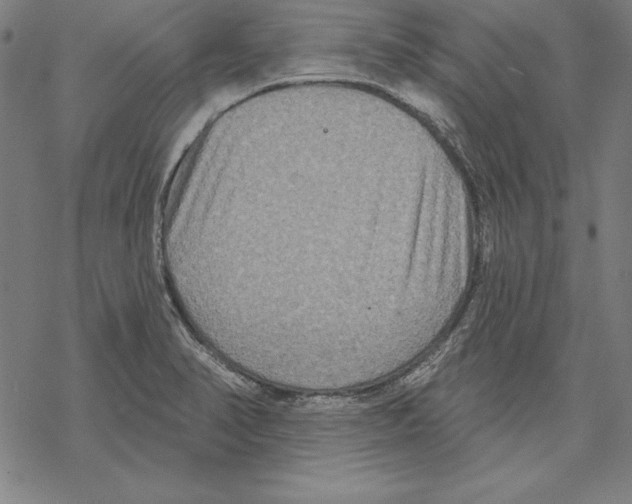 X0000067841374200605111631