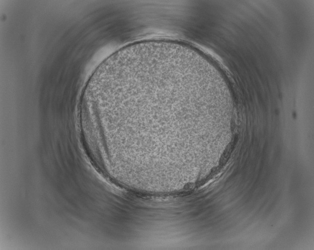 X0000067841375200605111631