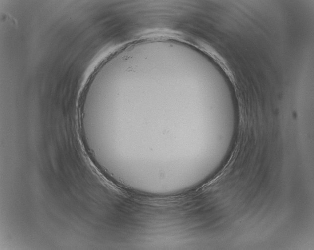 X0000067841376200605111631