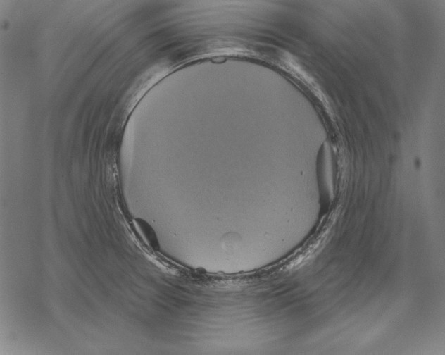 X0000067841377200605111631