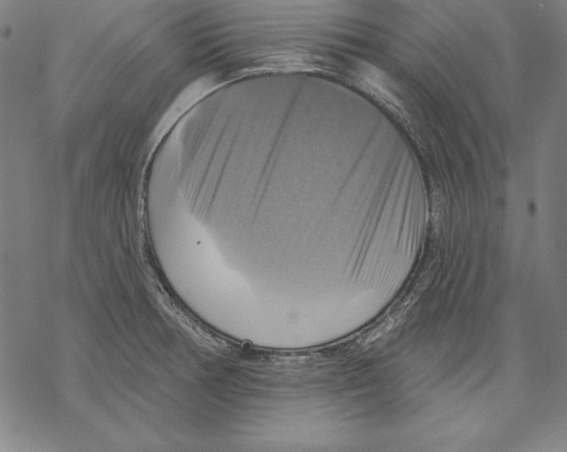 X0000067841378200605111631